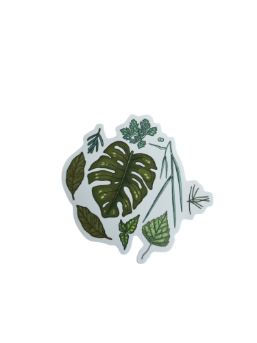 000-238.png